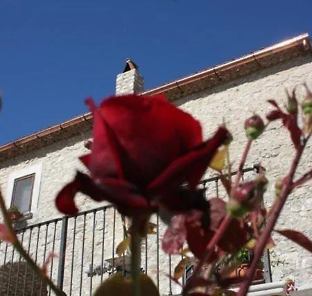 Apartamento Rosa Vico Del Gargano